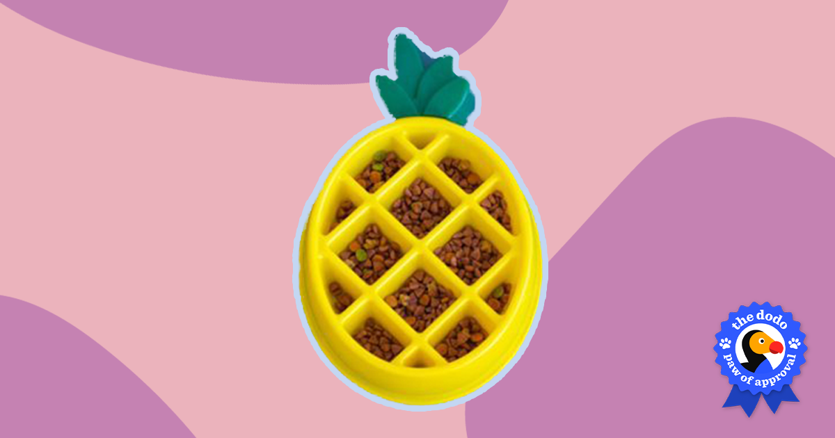zippy paws pineapple slow feeder