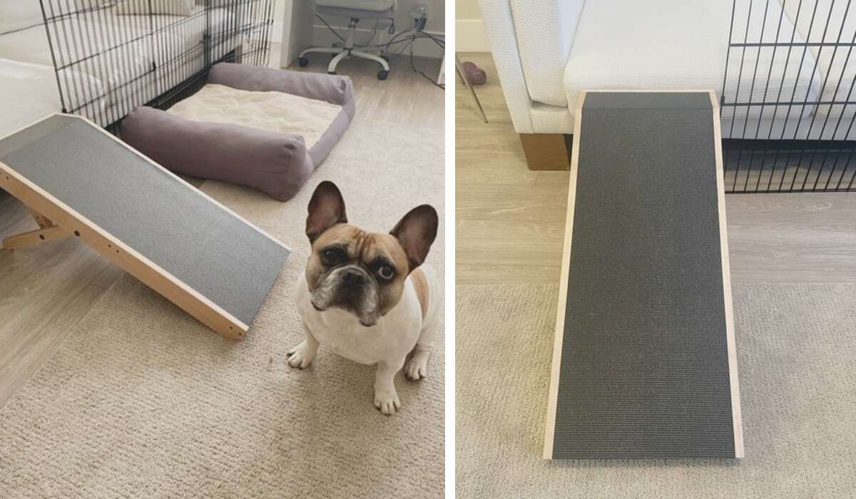 dog ramp