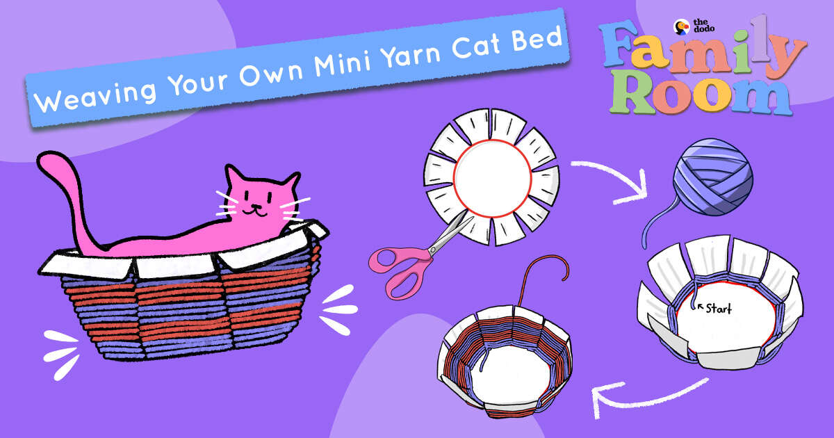 Learn To Weave By Making Your Own Mini Yarn Cat Bed