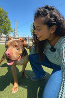 Freedom Therapy cover art