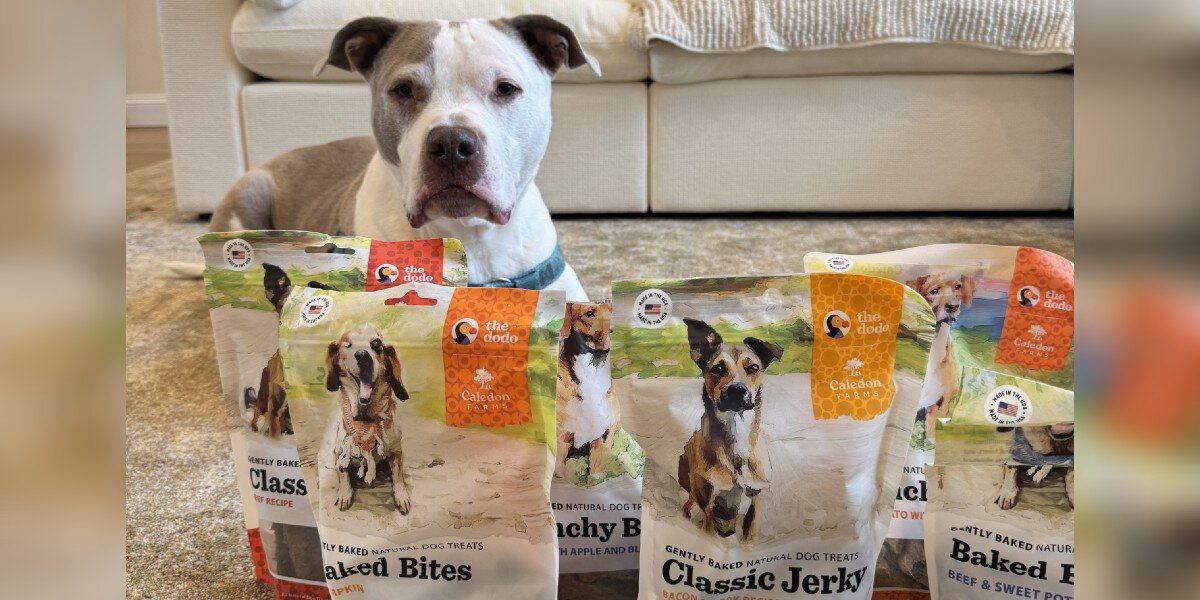 The Dodo Launches A Line Of Treats Inspired By Our Own Dogs