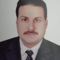 Ahmed M Emam