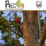 Profile image of Revista Recia