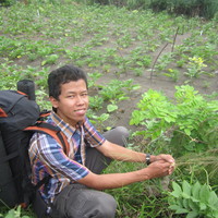 Yoga Laksono