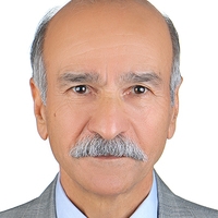 M. Naghibzadeh