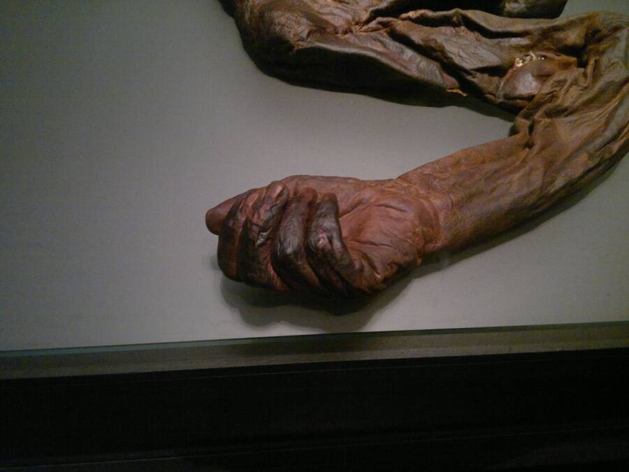 Old Croghan Man's Hand