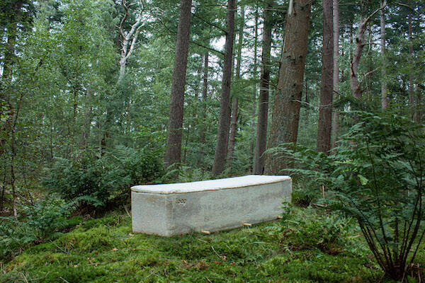 Living Coffin