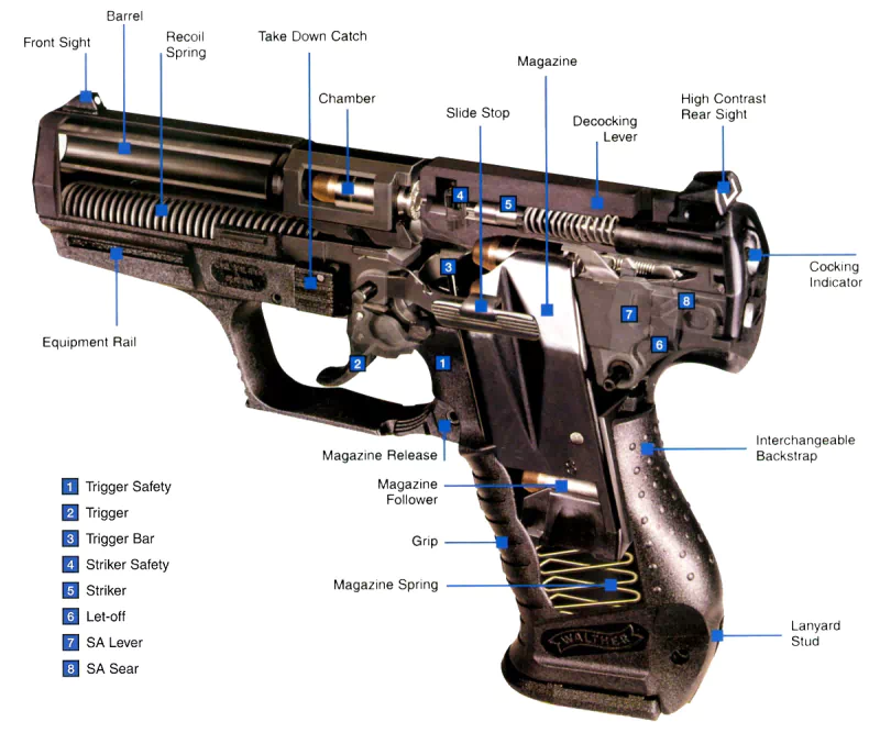Diagram of a man-made gun with labeled parts including barrel, chamber, grip, magazine, safety features, and sights.