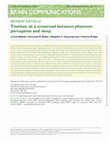 Research paper thumbnail of Tinnitus: at a crossroad between phantom perception and sleep