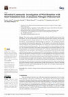 Research paper thumbnail of Microbial Community Investigation of Wild Brambles with Root Nodulation from a Calcareous Nitrogen-Deficient Soil