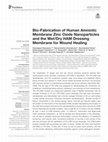 Research paper thumbnail of Bio-Fabrication of Human Amniotic Membrane Zinc Oxide Nanoparticles and the Wet/Dry HAM Dressing Membrane for Wound Healing