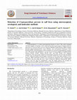 Research paper thumbnail of Detection of Cryptosporidium parvum in calf feces using microscopical, serological, and molecular methods