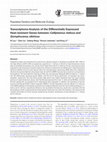 Research paper thumbnail of Transcriptome Analysis of the Differentially Expressed Heat-resistant Genes betweenCalliptamus italicusandGomphocerus sibiricus