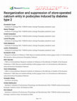 Research paper thumbnail of Reorganization and suppression of store-operated calcium entry in podocytes induced by diabetes type 2