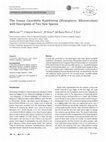 Research paper thumbnail of The Genus Coccidella Hambleton (Hemiptera: Rhizoecidae) with Description of Two New Species