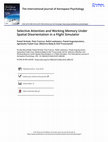 Research paper thumbnail of Selective Attention and Working Memory Under Spatial Disorientation in a Flight Simulator