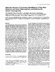 Research paper thumbnail of Molecular genetics of cystinuria: identification of four new mutations and seven polymorphisms, and evidence for genetic heterogeneity