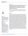 Research paper thumbnail of Great egret (Ardea alba) habitat selection and foraging behavior in a temperate estuary: Comparing natural wetlands to areas with shellfish aquaculture