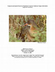 Research paper thumbnail of Temporal and Spatial Patterns in Population Trends in California Clapper Rail (Rallus longirostris obsoletus)