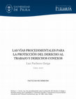 Research paper thumbnail of Las vías procedimentales para la protección del derecho al trabajo y derechos conexos