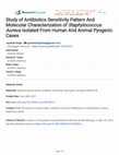 Research paper thumbnail of Study of antibiotics sensitivity pattern and molecular characterization of Staphylococcus aureus isolated from human and animal pyogenic cases