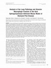 Research paper thumbnail of Analysis of the Lung Pathology and Alveolar Macrophage Function in the Acid Sphingomyelinase–Deficient Mouse Model of Niemann-Pick Disease