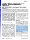 Research paper thumbnail of Probing nanoparticle translocation across the permeable endothelium in experimental atherosclerosis