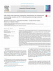 Research paper thumbnail of CD8 TCR β chain repertoire expansions and deletions are related with immunologic markers in HIV-1-infected patients during treatment interruption