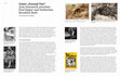 Research paper thumbnail of Painting technique of animal painter Norbertine Bresslern-Roth