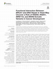 Research paper thumbnail of Functional Interaction Between BRCA1 and DNA Repair in Yeast May Uncover a Role of RAD50, RAD51, MRE11A, and MSH6 Somatic Variants in Cancer Development