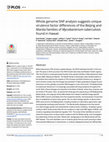 Research paper thumbnail of Whole genome SNP analysis suggests unique virulence factor differences of the Beijing and Manila families of Mycobacterium tuberculosis found in Hawaii