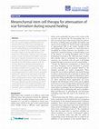 Research paper thumbnail of Mesenchymal stem cell therapy for attenuation of scar formation during wound healing