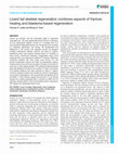 Research paper thumbnail of Lizard tail skeletal regeneration combines aspects of fracture healing and blastema-based regeneration