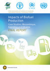 Research paper thumbnail of Global Assessments and Guidelines for Sustainable Liquid Biofuel Production in Developing Countries: Final report