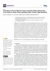 Research paper thumbnail of Extraction of Novel Effective Nanocomposite Photocatalyst from Corn Stalk for Water Photo Splitting under Visible Light Radiation