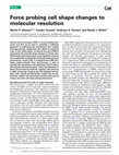 Research paper thumbnail of Force probing cell shape changes to molecular resolution