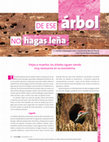 Research paper thumbnail of De ese arbol no hagas leña