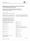 Research paper thumbnail of Identification of Fusarium species associated with soybean root rot in Sichuan Province, China