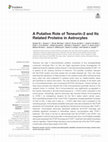 Research paper thumbnail of A Putative Role of Teneurin-2 and Its Related Proteins in Astrocytes