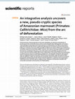 Research paper thumbnail of An integrative analysis uncovers a new, pseudo-cryptic species of Amazonian marmoset (Primates: Callitrichidae: Mico) from the arc of deforestation