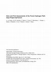 Research paper thumbnail of Aims and First Assessments of the French Hydrogen Path- ways Project HyFrance3