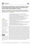 Research paper thumbnail of Safety Culture and the Positive Association of Being a Primary Care Training Practice during COVID-19: The Results of the Multi-Country European PRICOV-19 Study