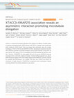 Research paper thumbnail of XTACC3–XMAP215 association reveals an asymmetric interaction promoting microtubule elongation