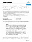 Research paper thumbnail of Y chromosome evidence of earliest modern human settlement in East Asia and multiple origins of Tibetan and Japanese populations