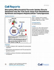 Research paper thumbnail of Disrupting Mitochondrial Pyruvate Uptake Directs Glutamine into the TCA Cycle away from Glutathione Synthesis and Impairs Hepatocellular Tumorigenesis