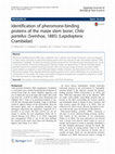 Research paper thumbnail of Identification of pheromone-binding proteins of the maize stem borer, Chilo partellus (Swinhoe, 1885) (Lepidoptera: Crambidae)