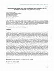 Research paper thumbnail of Identification of opaque black bean recombinant lines resistant to BCMV, BCMNV and BGYMV using molecular markers