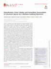 Research paper thumbnail of Detoxification, Active Uptake, and Intracellular Accumulation of Chromium Species by a Methane-Oxidizing Bacterium