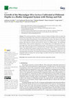 Research paper thumbnail of Growth of the Macroalgae Ulva lactuca Cultivated at Different Depths in a Biofloc Integrated System with Shrimp and Fish