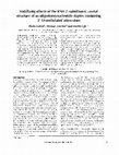 Research paper thumbnail of Stabilizing effects of the RNA 2′-substituent: crystal structure of an oligodeoxynucleotide duplex containing 2′-O-methylated adenosines